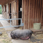 Photo n°10 de l'avis de Jochen.e fait le 22/07/2021 à 11:51 sur le  Ungerichthof à Caines