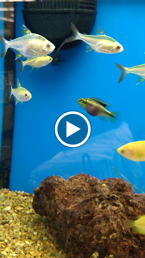 Pet Supply Store «Petco», reviews and photos, 590 E Waterfront Dr, Homestead, PA 15120, USA