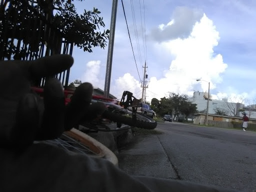 Dollar Store «Dollar Tree», reviews and photos, 9055 Biscayne Blvd, Miami Shores, FL 33138, USA