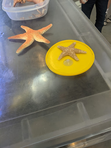 Casino «Hampton Beach Casino», reviews and photos, 169 Ocean Blvd, Hampton, NH 03842, USA