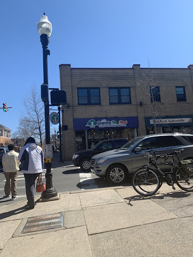 Gift Shop «Growing Tree Toys», reviews and photos, 202 S Allen St, State College, PA 16801, USA