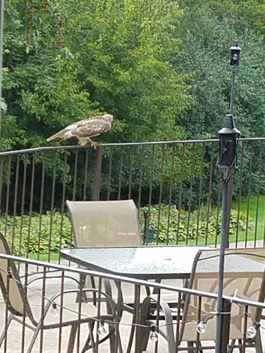 Golf Club «Old Hickory Golf Club», reviews and photos, W7596 WI-33, Beaver Dam, WI 53916, USA