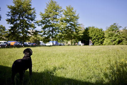 Hundewiese am Eulachpark