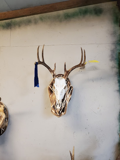 Team Ashley taxidermy