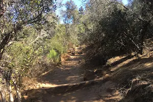 Big Rock Road Trail image