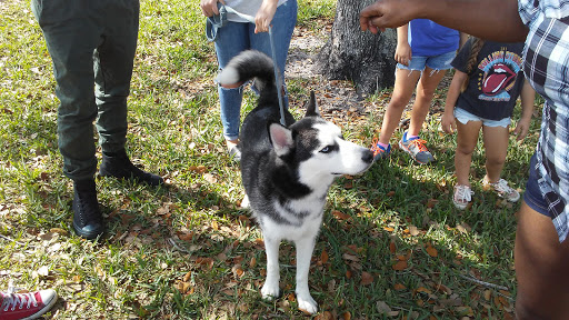 Park «C.B. Smith Park», reviews and photos, 900 N Flamingo Rd, Pembroke Pines, FL 33028, USA