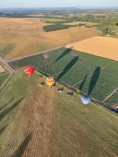 Balloon Ride Tour Agency «Vista Balloon Adventures», reviews and photos, 1050 Commerce Pkwy, Newberg, OR 97132, USA