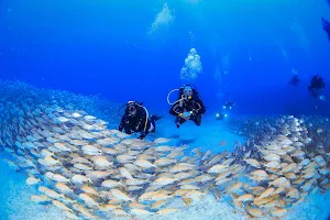 Deep Fin Diving Center - Buceo en Las Galletas (Tenerife) image