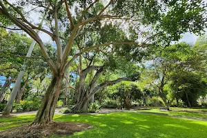 Foster Botanical Garden image