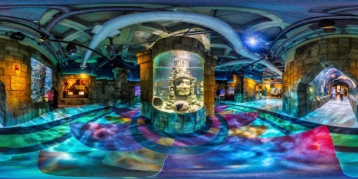 Aquarium «Audubon Aquarium of the Americas», reviews and photos, 1 Canal St, New Orleans, LA 70130, USA