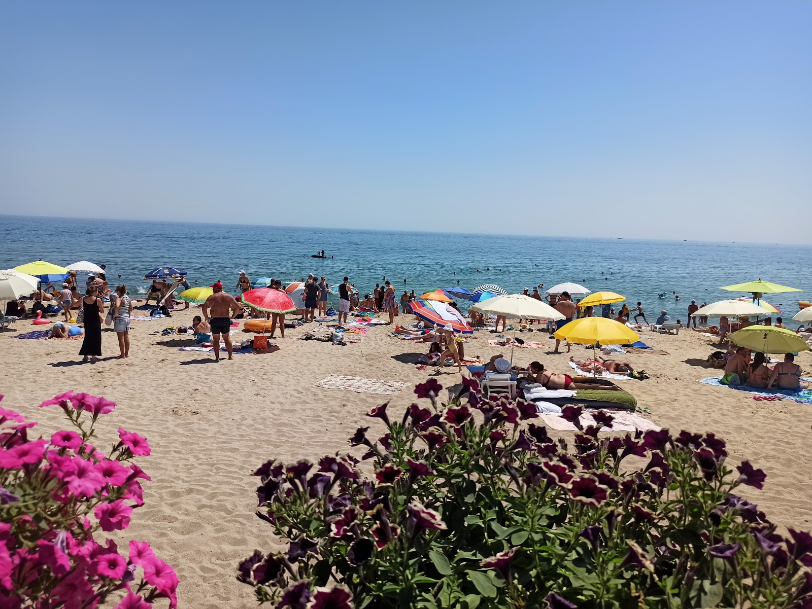 Chernomorka Plyazh II'in fotoğrafı ve yerleşim