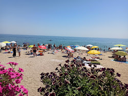 Chernomorka Plyazh II'in fotoğrafı ve yerleşim