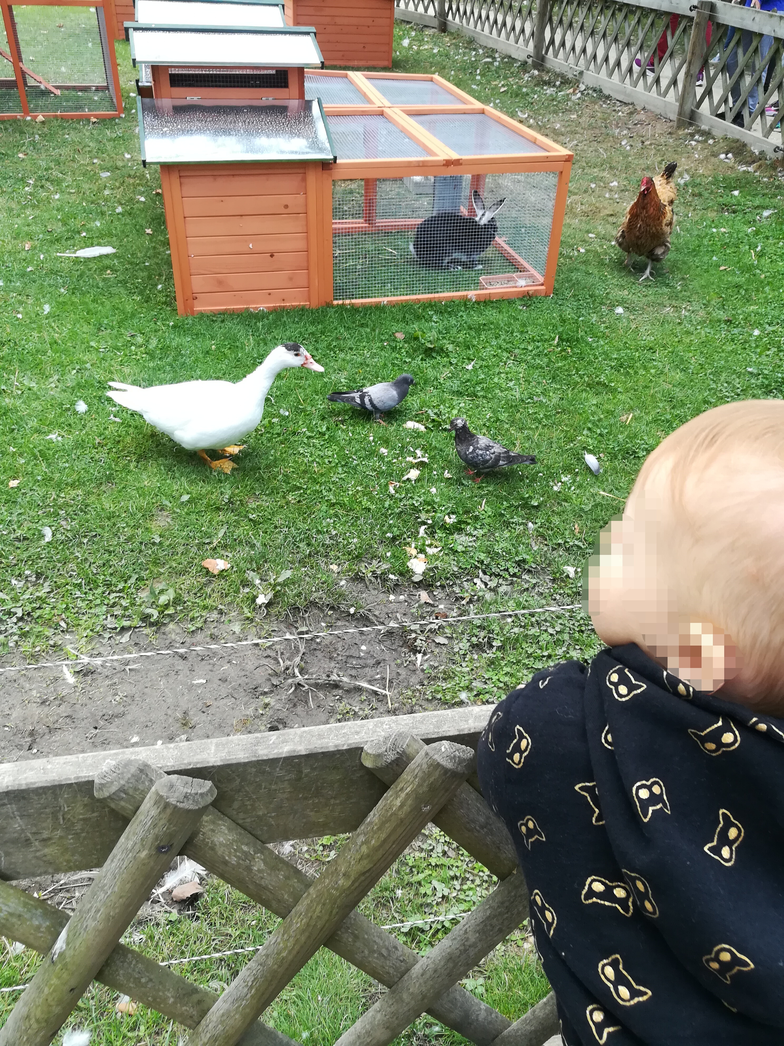 Photo n° 1 de l'avis de Céline. fait le 08/09/2019 à 18:43