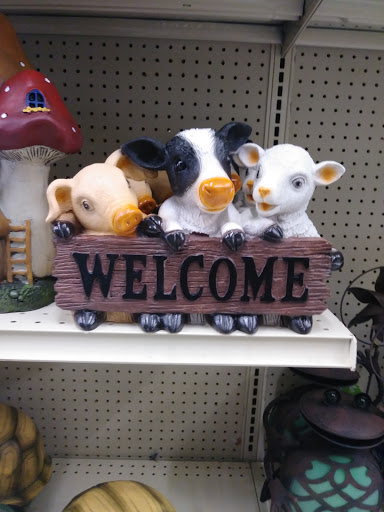 Discount Store «Big Lots», reviews and photos, 580 Atlanta Rd #210, Cumming, GA 30040, USA