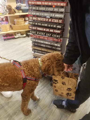 Pet Supply Store «USA Dog Shop», reviews and photos, 549 NY-17, Tuxedo Park, NY 10987, USA
