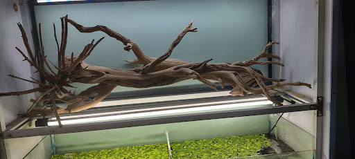 Reptile Store «La Habra Pets», reviews and photos, 1919 W La Habra Blvd, La Habra, CA 90631, USA