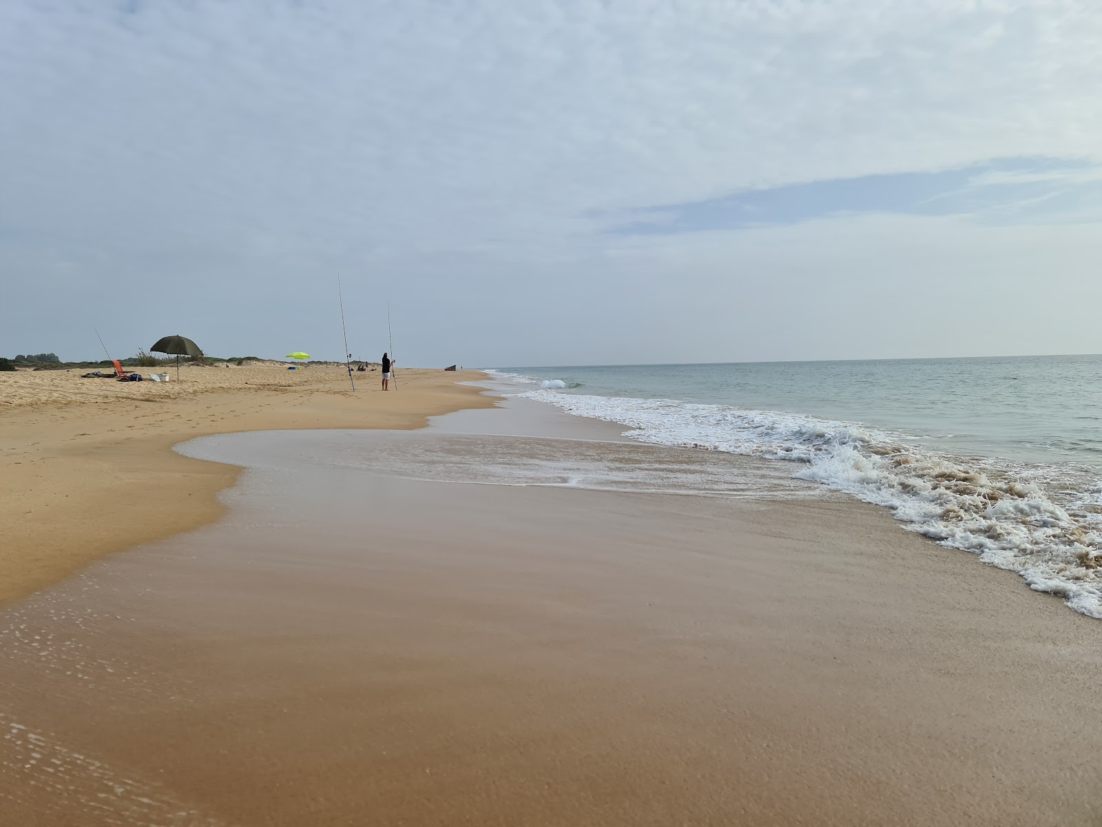 Playa Mangueta photo #7