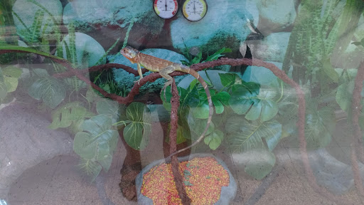 Pet Supply Store «Petco Animal Supplies», reviews and photos, 6137 Mid Rivers Mall Dr, St Charles, MO 63304, USA