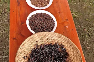 Kisoro Volcanic Organic Coffee image