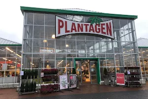 Plantagen image