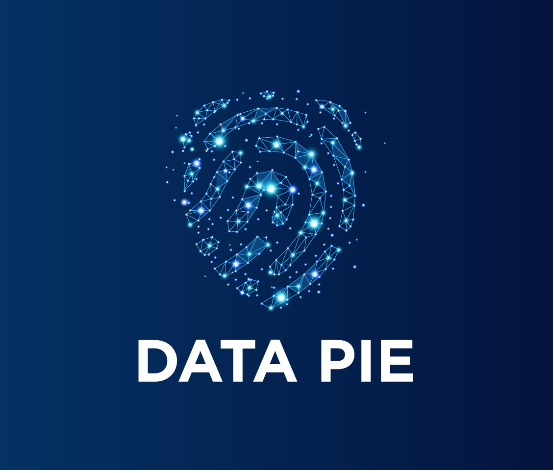 Data Pie Cybersecurity AG | IT-Security - Computergeschäft