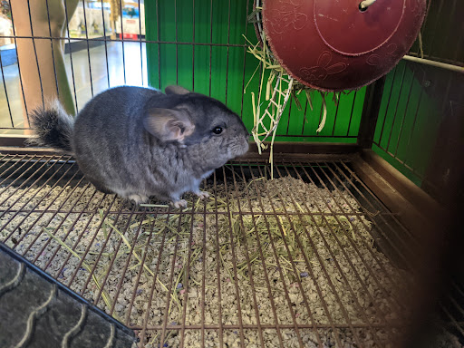 Pet Store «Olathe Pet Shop», reviews and photos, 16651 151st St, Olathe, KS 66062, USA