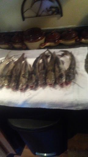 Bait Shop «The Bait Barn», reviews and photos, 3241 N Arlington Ave, Indianapolis, IN 46218, USA