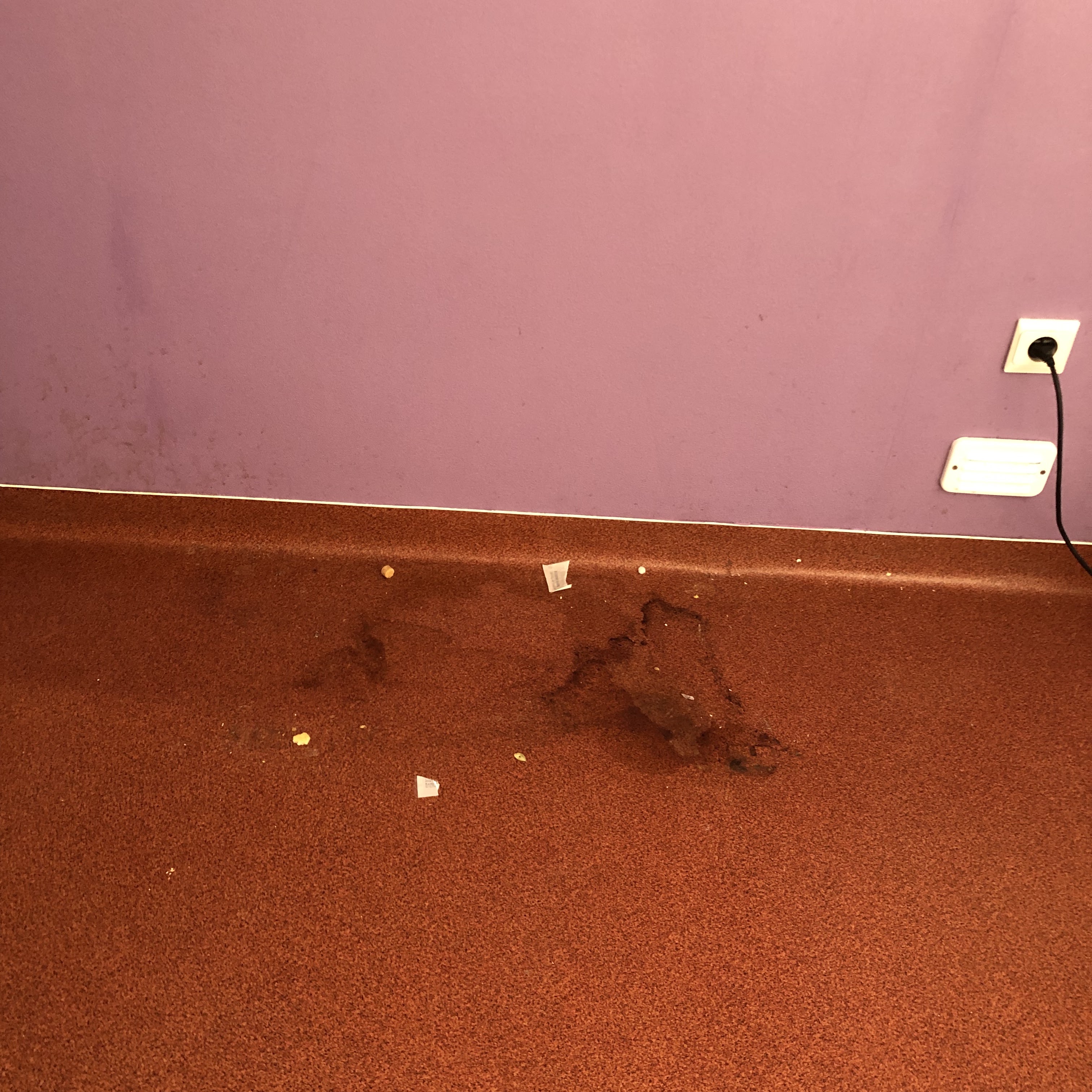 Photo n° 3 de l'avis de Murielle.o fait le 28/11/2022 à 22:43