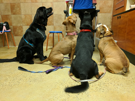 Pet Supply Store «PetSmart», reviews and photos, 271 New Rd, Somers Point, NJ 08244, USA