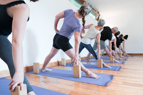 Centre de yoga Yoga Sadhana Studio Foix