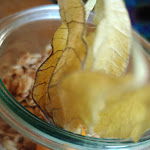 Photo n°2 de l'avis de Martina.l fait le 29/04/2022 à 20:55 sur le  Klauprecht à Karlsruhe