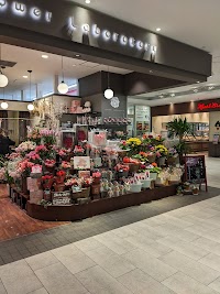 マーケットガーデンKOHYO京都店