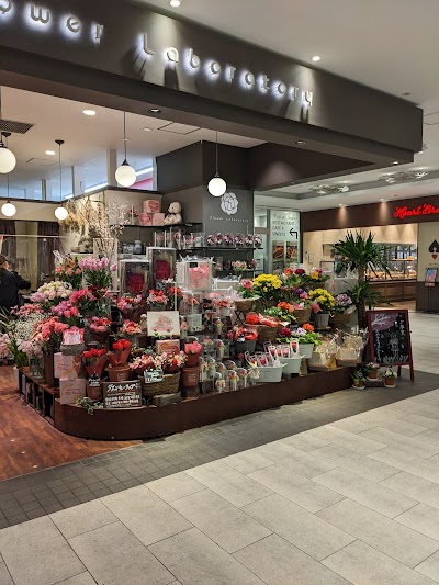マーケットガーデンKOHYO京都店