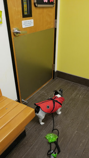 Pet Supply Store «PetSmart», reviews and photos, 190 Rt 10 West, East Hanover, NJ 07936, USA