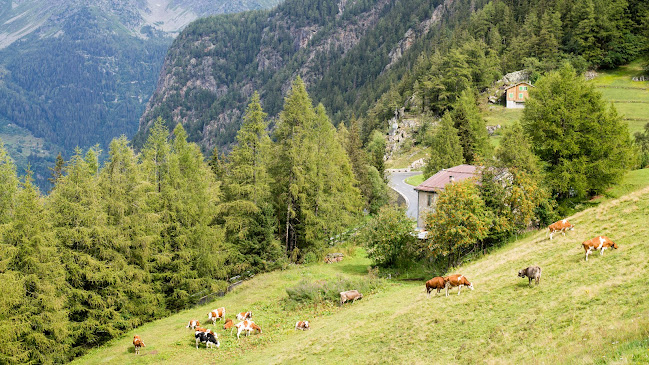 Rte de la Forclaz, 1921 Martigny-Combe, Schweiz