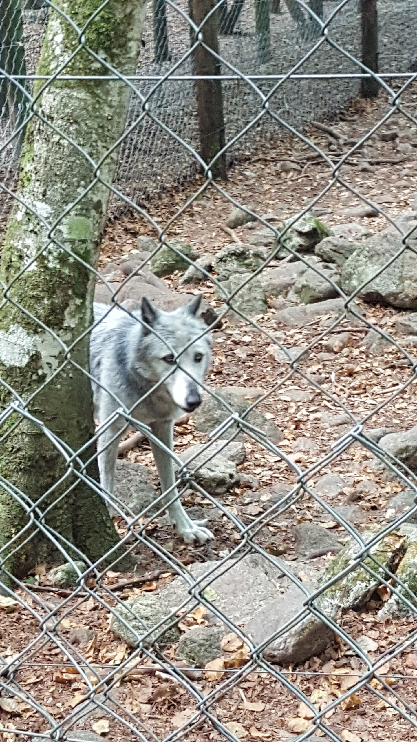 Photo n° 1 de l'avis de seb.a fait le 28/08/2017 à 16:52