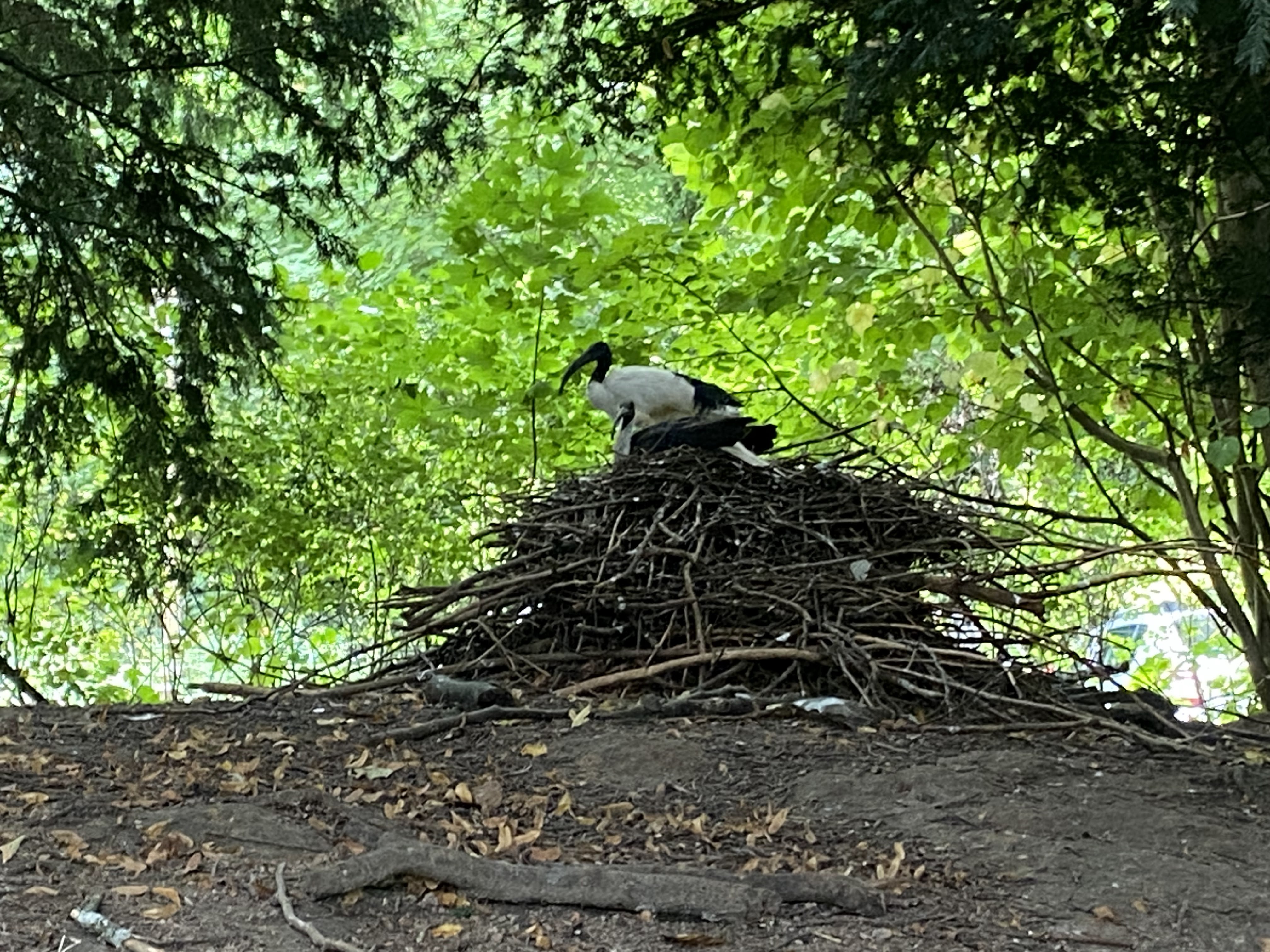 Photo n° 10 de l'avis de Mickael.e fait le 11/08/2023 à 05:54