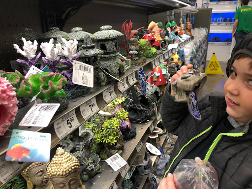 Pet Supply Store «Petco Animal Supplies», reviews and photos, 178 Township Blvd, Camillus, NY 13031, USA