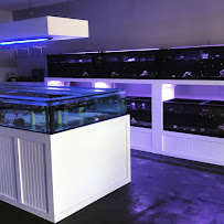 The Fish Store / Custom Aquariums - Photo 2 - Car repair in Port St. Lucie, FL, Port St. Lucie