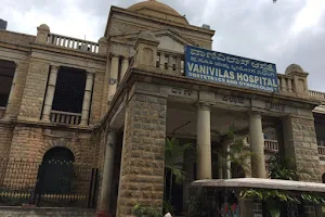 Vanivilas Hospital image