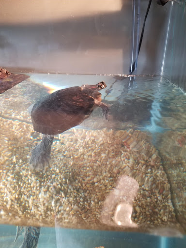 Pet Store «Fish Bowl Pets», reviews and photos, 1013 Hope St, Stamford, CT 06907, USA