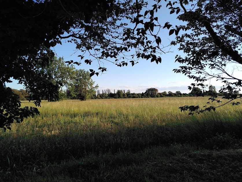 Camping Les Amandaies à Mouriès