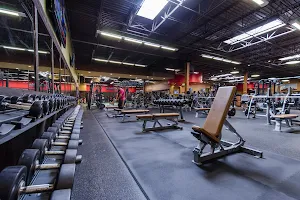 Onelife Fitness - Carrollton Gym image