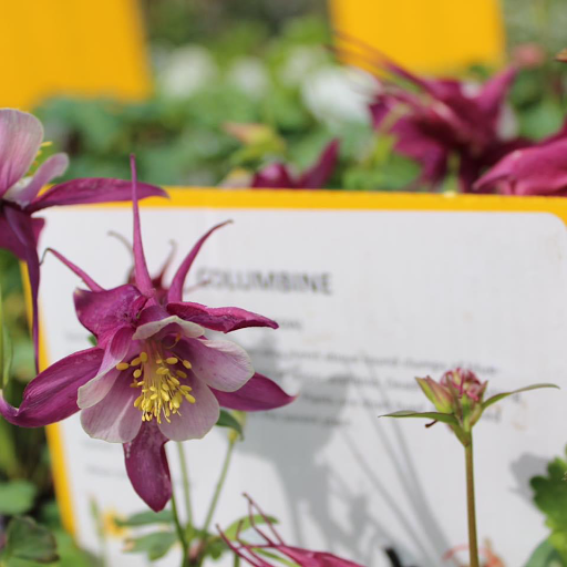 Farm «Pope Farms Produce & Garden Center», reviews and photos, 6501 W 28th St, Greeley, CO 80634, USA