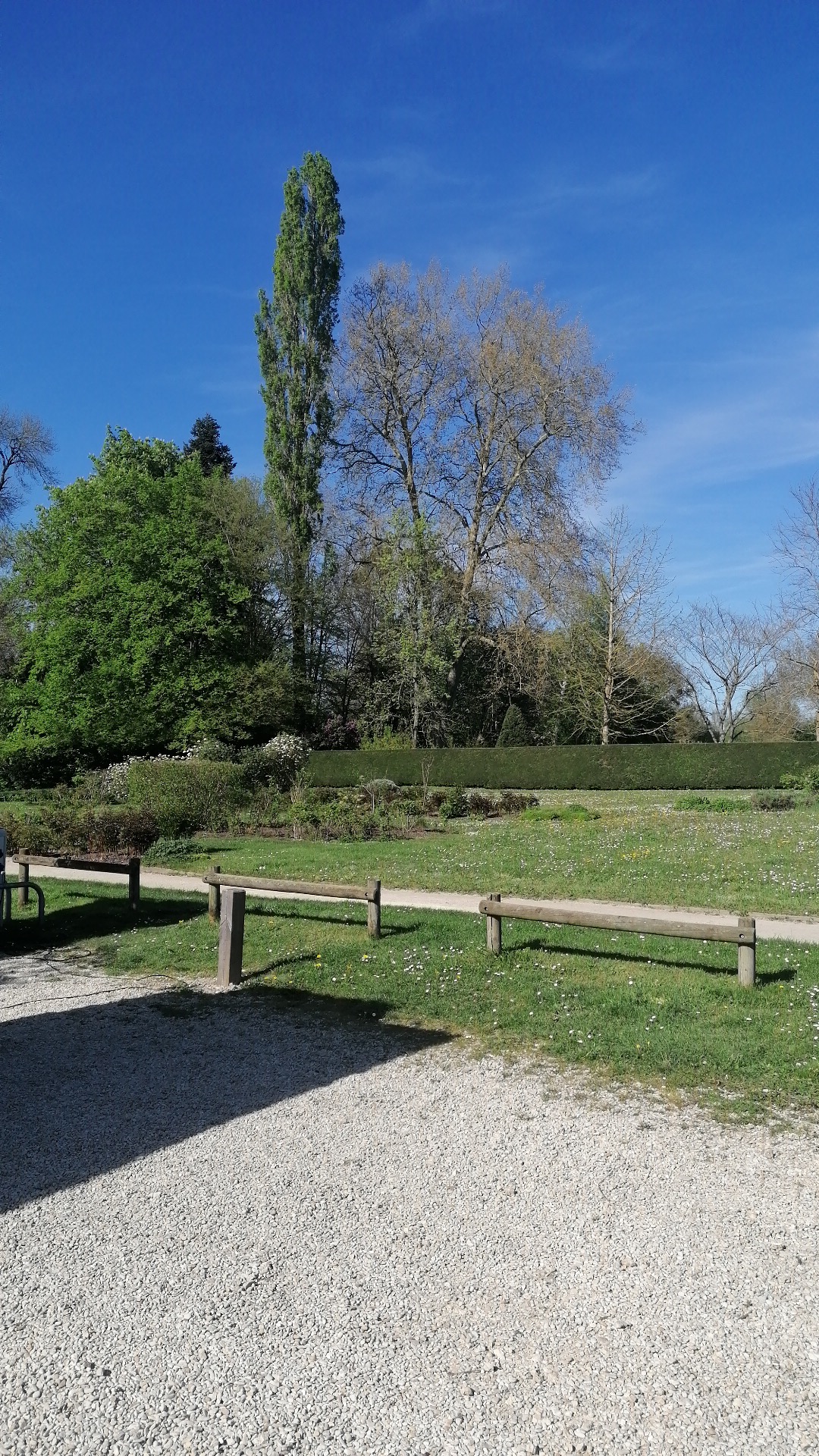 Photo n° 6 de l'avis de Therese.. fait le 17/04/2022 à 14:51