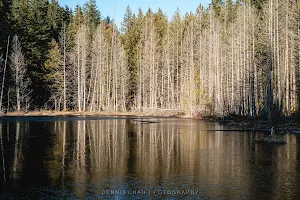 Whyte Lake image