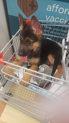 Pet Supply Store «Petco Animal Supplies», reviews and photos, 2435 N Hwy 67, Florissant, MO 63033, USA