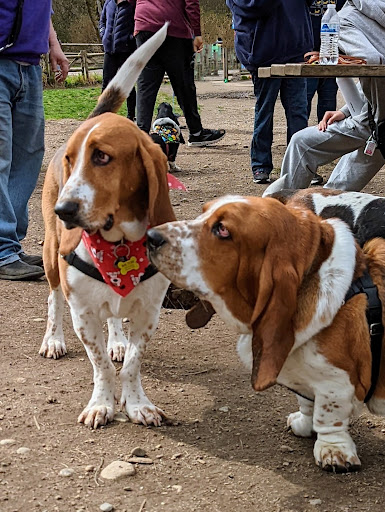 Park «Willis D. Tucker Community Park», reviews and photos, 6705 Puget Park Dr, Snohomish, WA 98296, USA