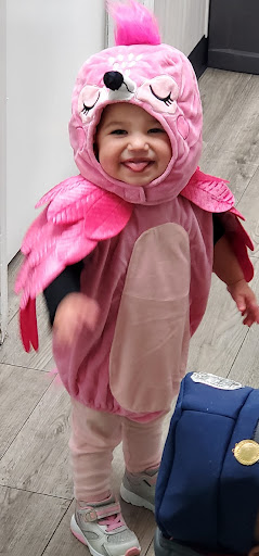 Preschool «Childrens Creative Corner Inc», reviews and photos, 2793 Maple Ave, Lisle, IL 60532, USA