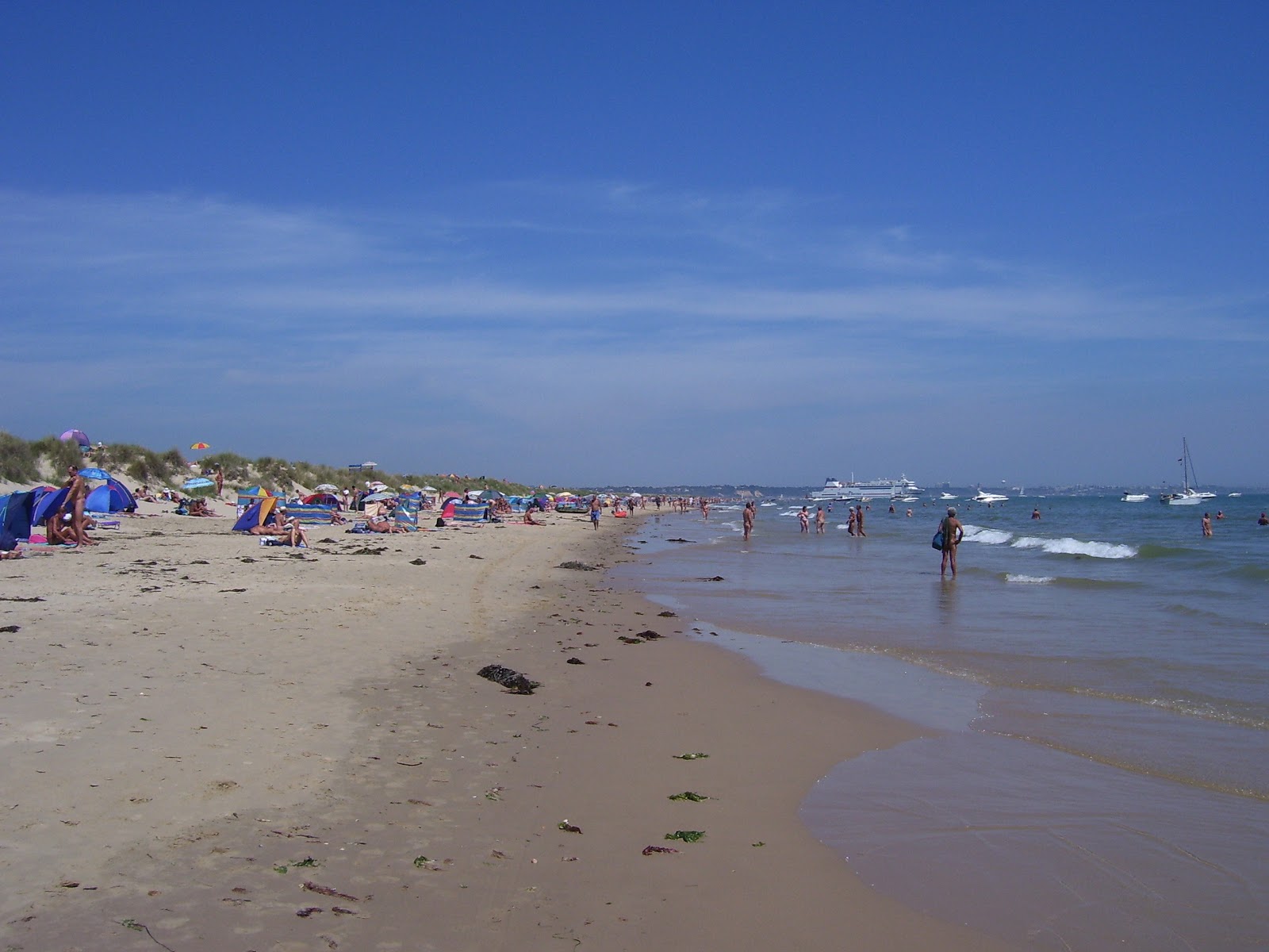 Valokuva Studland Naturist beachista. pinnalla hienoa beige-hiekkaa:n kanssa